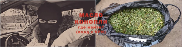 прущие грибы Елабуга