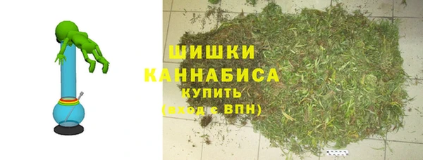 прущие грибы Елабуга