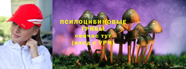 дмт Нефтегорск