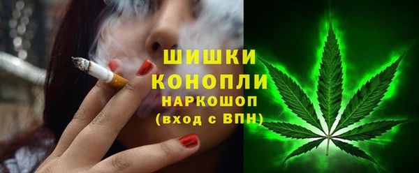 прущие грибы Елабуга