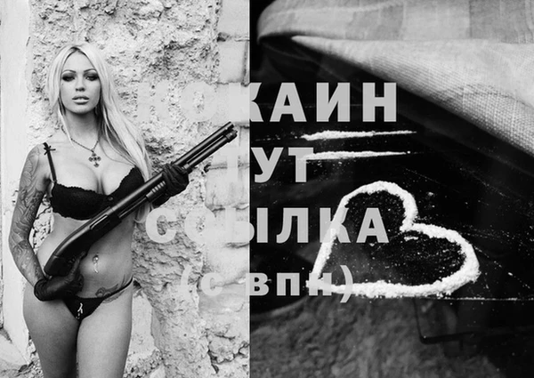 прущие грибы Елабуга