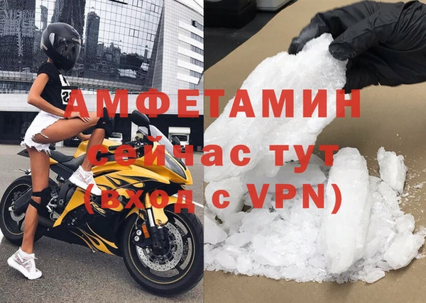 прущие грибы Елабуга