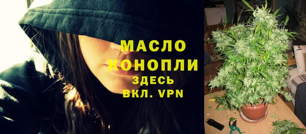прущие грибы Елабуга