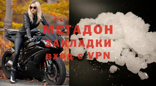 прущие грибы Елабуга