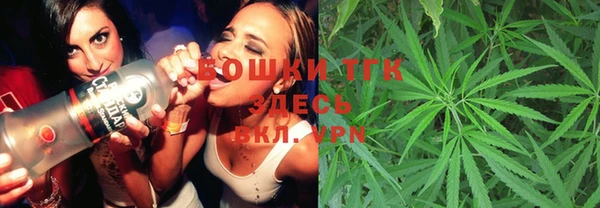 прущие грибы Елабуга