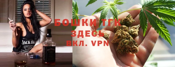 прущие грибы Елабуга